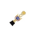 thumbnail image 1 of QualitChoice Trophée de Récompense Coupe Prix Gagnants pour Fêtes Célébrations Concours Bleu École 38,5 cm Discours Bleu 34,5 cm, 1 of 6