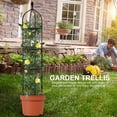 thumbnail image 6 of CreativeArrowy Garden Outdoor Indoor Potted Plant Stand Climbing Vines Gardening Tools Decorative Plastic-coated Rust-proof Metal Pipe, 6 of 19