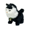 thumbnail image 1 of BotaniNest " Cat : Soft & Lovable! Keep Your Kitty Entertained With This That’s All The In !", 1 of 5
