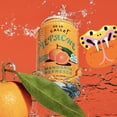 thumbnail image 4 of De La Calle Tepache - Mandarin Refresco - Modern Mexican Soda - Craft Fermented Pineapple Beverage, 4 of 7