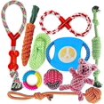 thumbnail image 1 of Juego de 10 juguetes para perros, cuerda masticable resistente para perros pequeños y medianos, que promueve la salud (multicolor), 1 of 5