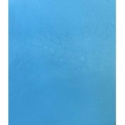 Reed Lamb Skin Leather Hides - Premium Soft Touch Skin Leathers 5 - 7 SF (Sky Blue)
