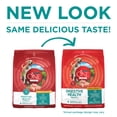 thumbnail image 3 of Purina One Plus Digestive Health Dry Dog Food with Added Vitamins, Minerals & Nutrients, Chicken, 8 lb Bag, 3 of 11