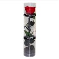 thumbnail image 1 of Real Preserved Rose, Eternal Rose, Long Lasting Rose, Everlasting Flowering Rose, 1 of 5