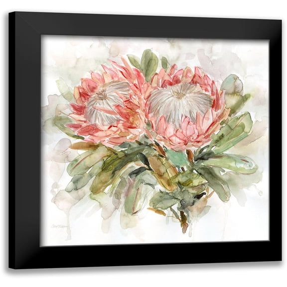 Robinson, Carol 12x12 Black Modern Framed Museum Art Print Titled - Pale Protea I
