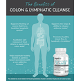 thumbnail image 3 of Organixx Colon & Lymphatic Supplements - Detox Cleanse Capsule with Probiotics for Gut Health, Digestive Support, & Healthier Lymphatic System, Gluten Free, Non GMO, Soy Free - 60 Vegetarian Capsules, 3 of 6