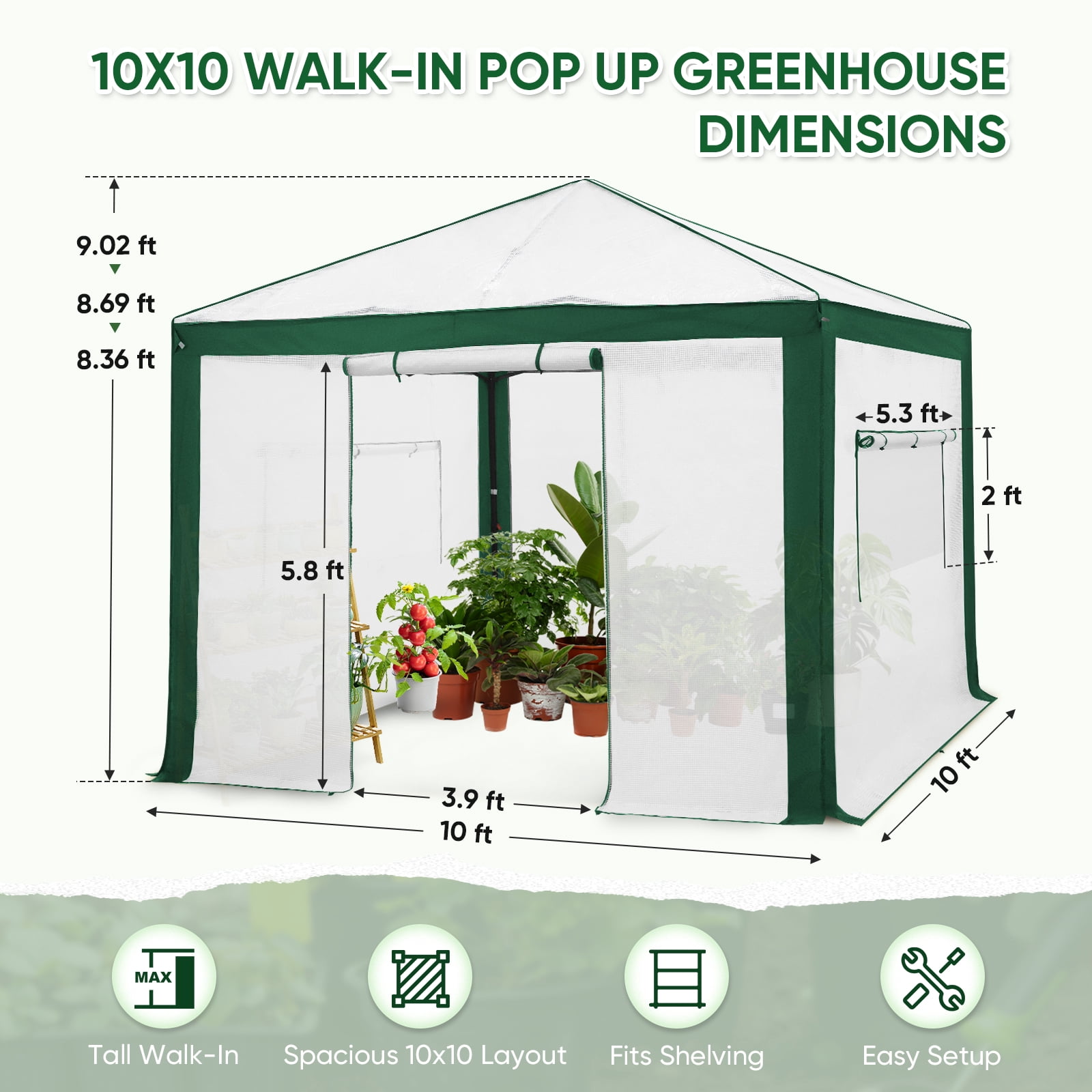 EAGLE PEAK 10x10 Portable Walk in Greenhouse , Heavy Duty Instant Pop Up Green House, Front Roll Up Zipper Entry Door and Mesh Windows, Green/White