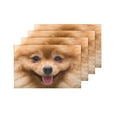 thumbnail image 4 of MKHERT Cute Puppy Pomeranian Dog Cute Pets Placemats Table Mats for Dining Room Kitchen Table Decoration 12x18 inch,Set of 4, 4 of 4