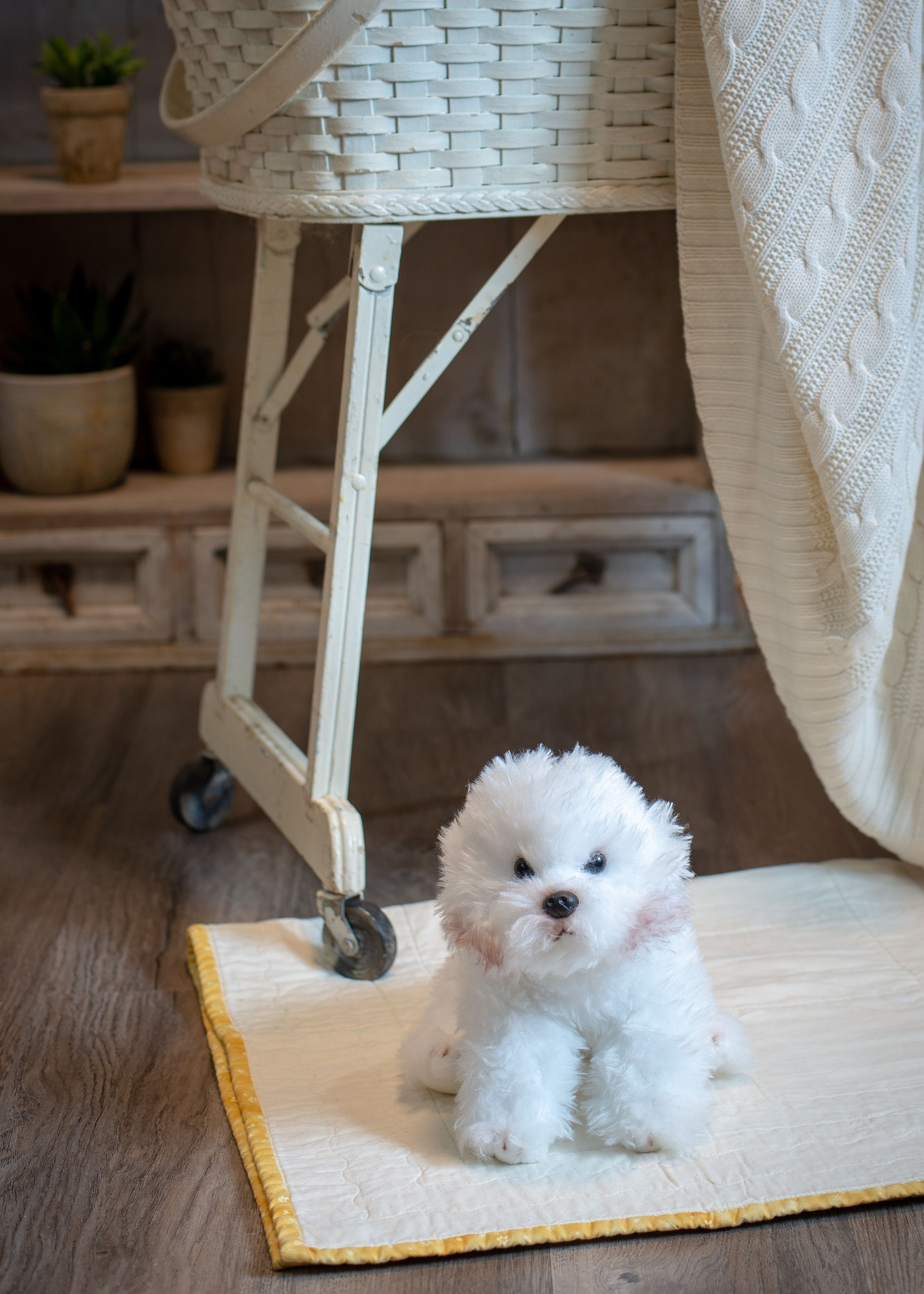 large bichon frise stuffed animal