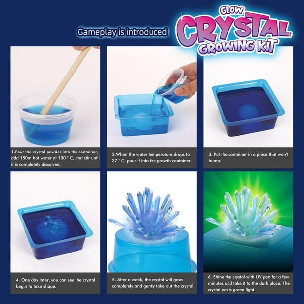 Kit De Cultivo De Cristales – Crece 6 Cristales En 24 Horas, Juego Educativo De Ciencias Para Niños +8 Años, Regalo Creativo Y Divertido