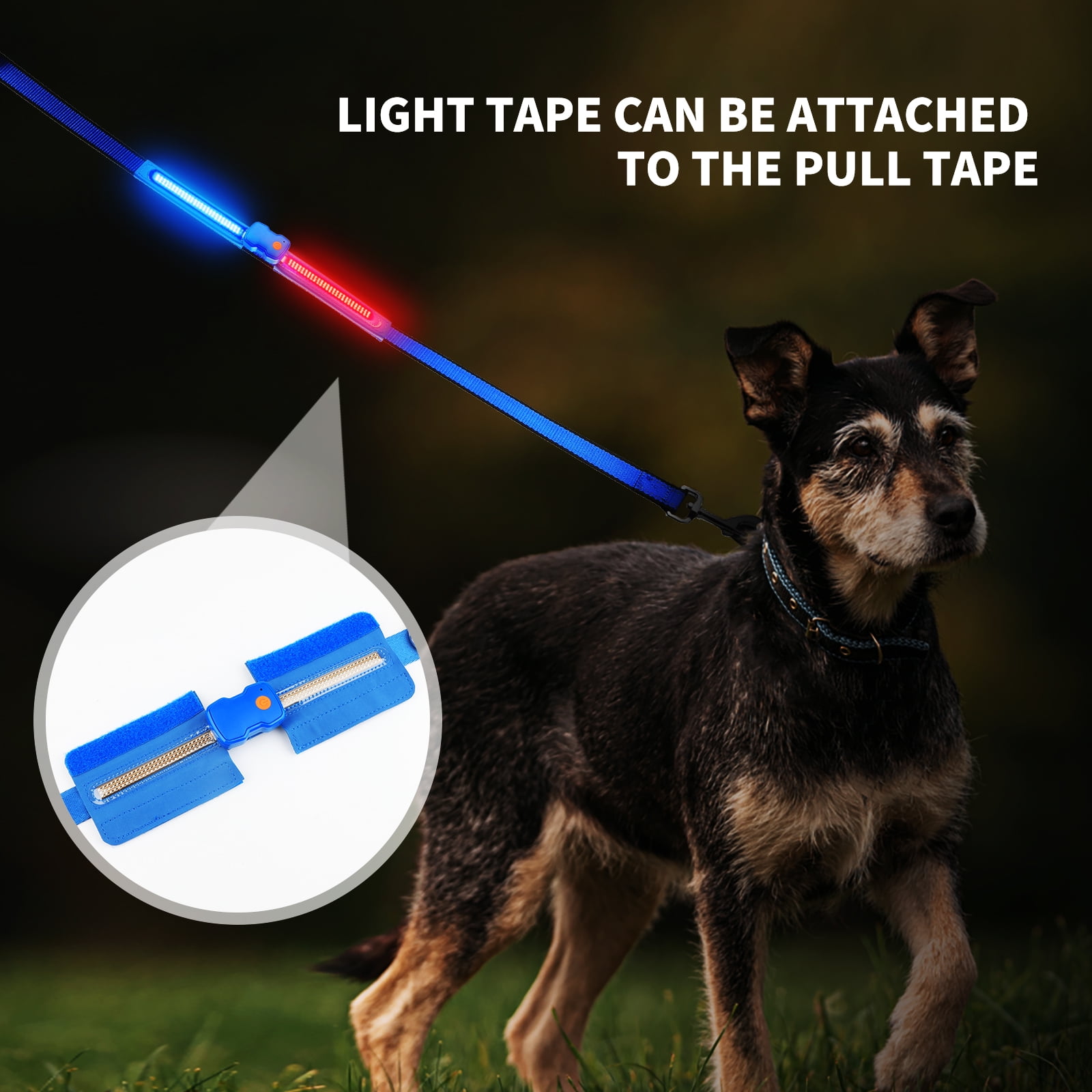 MASBRILL LED Light Up Dog Collar - 1,000 Feet Of Visibility - Brightest ...