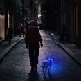 thumbnail image 5 of Dog Collar Light Rechargeable Puppy Collar, Glowing Pet Collar, for Small Medium Large Dogs, 5 of 5