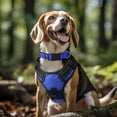 thumbnail image 2 of LAICAIW Reflective Dog Collar,Soft Neoprene Padded Breathable Nylon Pet Collar Adjustable for Small Dogs,Navy Blue,S, 2 of 7