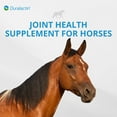 thumbnail image 6 of PRN Pharmacal Duralactin Equine Joint Plus Pellets - Joint Health Support Supplement for Horses Helps Support Healthy Cartilage, Joint Function & Soreness Management - 3.75 lbs, 6 of 7