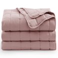 thumbnail image 2 of Casa Platino Bed Blanket Queen Size - Soft Pre-Washed Quilted Blanket - Lightweight Queen Size Blanket - All Season Queen Blanket - Microfiber Down Alternative Blanket Queen Size - Sepia Rose, 2 of 5