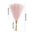 thumbnail image 3 of CuiLiyq Halloween Artificial Flowers for Decoration, Faux Pampas Grass, Suitable for Festival Wedding Party Decoration, Contemporary Interior Decor (Pink), 3 of 6