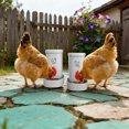 thumbnail image 3 of Automatic Hanging Poultry Feeder Trough For Chicken Coop Galvanized Steel Feed Dispenser With Grid Barrier, 3 of 6