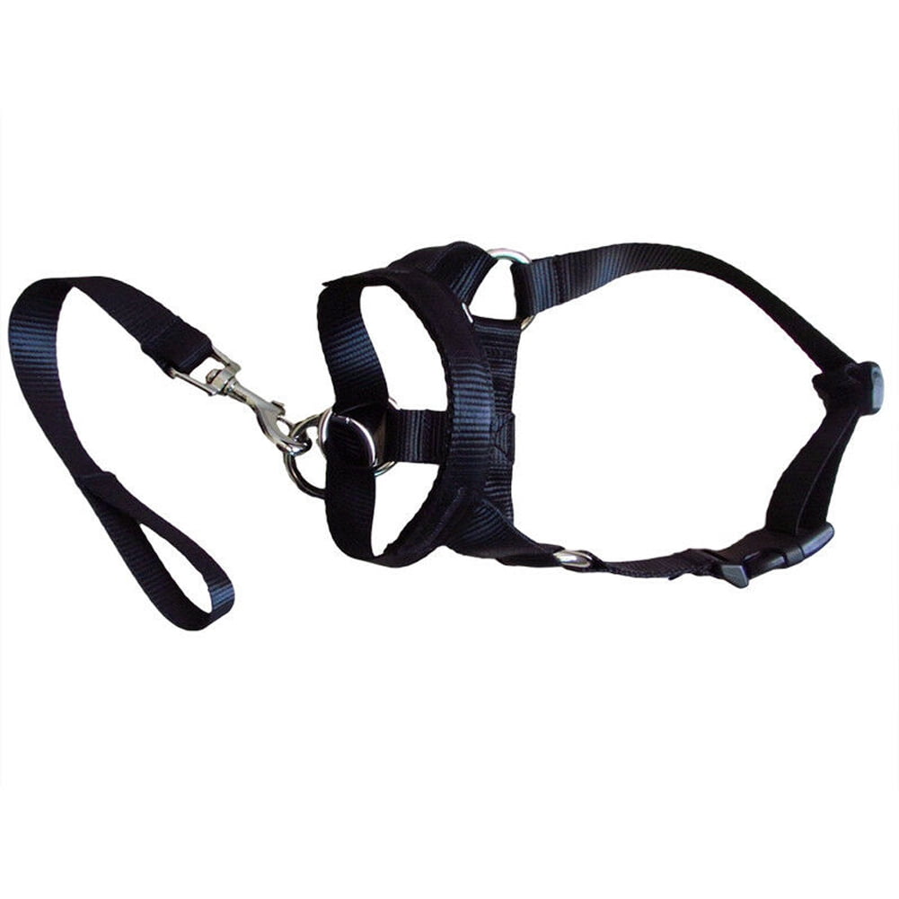Musuos Dog Head Collar Gentle Stop Pulling Pet Lead Padded Noseband