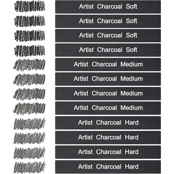 12-Piece Compressed and Vine Charcoal Sticks with Art Supplies