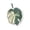 Green, variant on Anckoeil Hanging Hand Towel 8.6×7.87in Polyester Towel with Matching Hanging Cord for Kitchen Bathroom Wiping