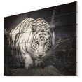 thumbnail image 1 of Design Art - White Tiger, 1 of 5
