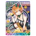thumbnail image 1 of Goddess Story Girl Party Bgr juego completo de tarjetas, Tamamo No Mine Rem, personajes de Anime, colección de bronce, tarjeta Flash, juguetes, regalo Fivean unisex, 1 of 2