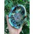 thumbnail image 6 of Abalone Shell, Seashell Incense Burner, Smudge Bowl / Holder, 6 of 14