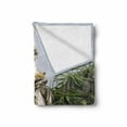 thumbnail image 2 of Architecture Soft Flannel Fleece Throw Blanket, Sculptured Greenery on the Grounds of Achillion Palace Corfu Island, Cozy Plush for Indoor and Outdoor Use, 50" x 60", Green Beige, by Ambesonne, 2 of 6