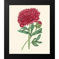 thumbnail image 2 of Smith, E. D. 20x23 Black Modern Framed Museum Art Print Titled - Summer Blush II, 2 of 5