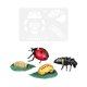 thumbnail image 5 of s realistas del ciclo de animal, herramientas de enseñanza preescolar, educación para niños Mariquita Zulema Ciclo vital, 5 of 7