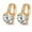 WH, variant on EGNMCR Earrings for Women 18K Yellow Gold Filled - 9mm Round Flower Zircon Hoop Women Party Earrings Earrings