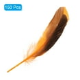 thumbnail image 3 of Uxcell 4-6 Inch Natural Feathers, 250 Pack Bulk Feathers for Crafts Carnival Handwork Clothing, Orange, 3 of 5