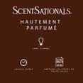 thumbnail image 5 of Cubes de cire parfumée ScentSationals - Sugar & Spice, 5 of 5