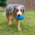 thumbnail image 5 of Squeaky Chew Toy For Aggressive Dogs Rubber Chew Ball,strong And Durable, 5 of 5