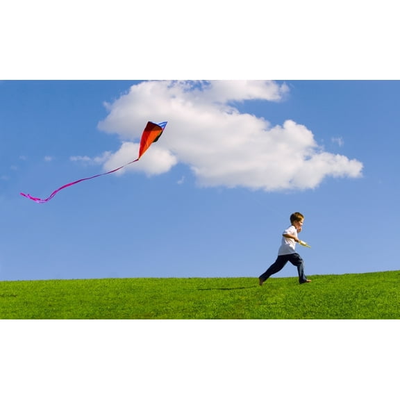 Posterazzi DPI1787398 Child Flying A Kite Poster Print by Don Hammond, 18 x 10