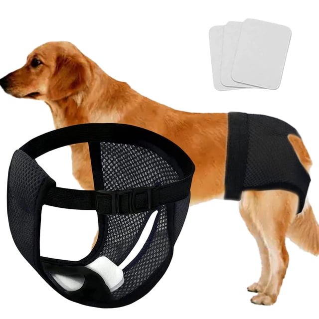 Every Pet Pañales reutilizables con 3 pañales de repuesto, pañales para menstruación, bragas sanitarias ajustables (1 pieza negra, extragrande)
