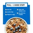 thumbnail image 6 of Purely Elizabeth Superfood Oatmeal, Blueberry Flax, Gluten-Free, 1.52 oz, 6 Packets, 6 of 8