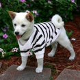 thumbnail image 6 of AURORA TRADE Pet Dog Striped Tee Shirt for Dogs Medium Dog Clothes French Bulldog Clothes Terrier Clothes for Small Dogs, 6 of 8