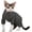 Black, variant on GYTY Cat Clothes for Hairless Cats Sphynx Cotton Turtleneck Shirt for Small Medium Large Cornish Rex, Devon Rex, and Peterbald Kittens (Green,X-Small)
