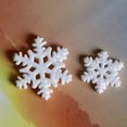 thumbnail image 4 of Bangcool 24PCS Micro Landscape Decoration Assorted Lovely Bonsai Ornament for Christmas, 4 of 10