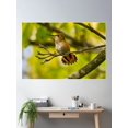 thumbnail image 2 of Perched Poster Wall Art, Modern Wall Decor For Living Room Bedroom, 16x24 UNFRAMED, 2 of 3