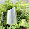 thumbnail image 3 of Regadera de acero inoxidable para jardinería, boquilla larga para suculentas, 900 ml (plateada), 3 of 6