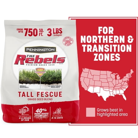 Pennington Rebels Tall Fescue Grass Seeds for Lawn, for Sun to Partial Shade, 3 lb