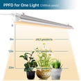 thumbnail image 3 of LED Grow Lights for Indoor Plants, T8 2FT 96W(4 x 24W, 600W Equivalent), Full Spectrum, V-Shape with Reflector Combo, Grow Light Fixture, 4-Pack, 3 of 13