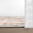 thumbnail image 6 of nuLOOM Sia SplashGuard Vintage Southwestern Machine Washable Area Rug, 5' x 8', Sia Peach, 6 of 11
