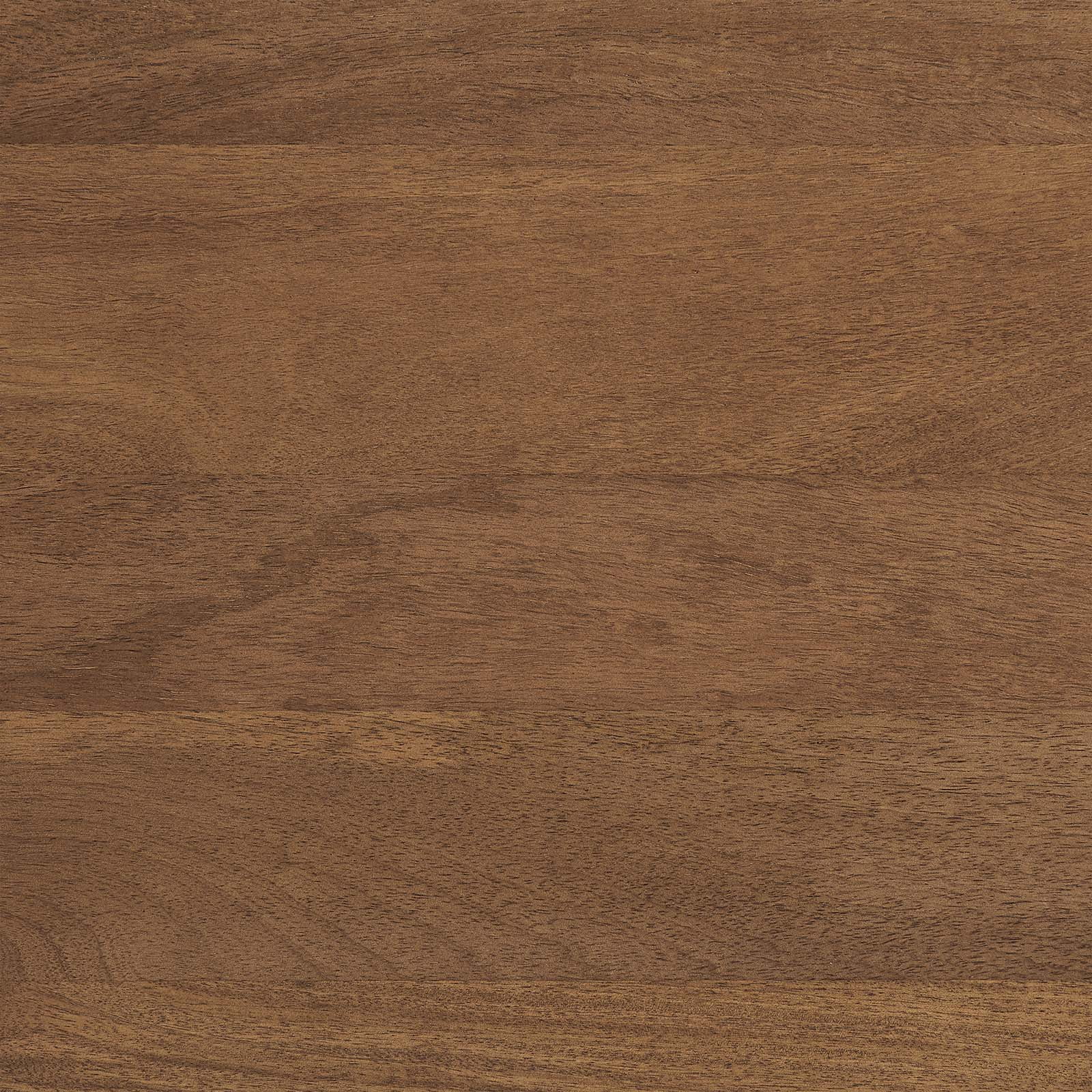 Modway Amistad 60" Wood Dining Table in Walnut