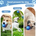 thumbnail image 3 of Juguete para Perros Fiopet Pelota Automática Rodante 5 cm con Luz LED, 3 of 7