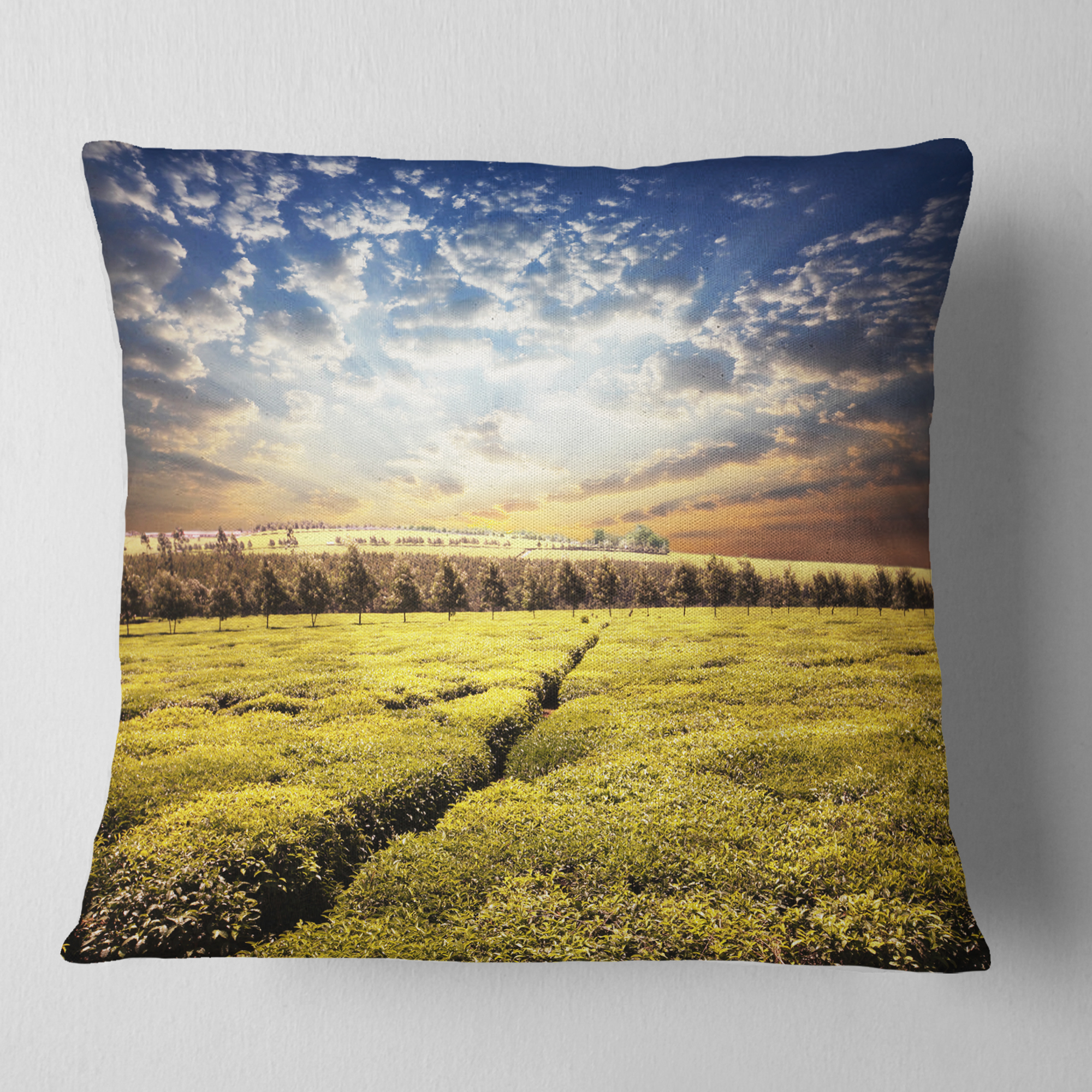 Designart Tea Plantation under Cloudy Sky - Landscape Wall Throw Pillow - 18x18