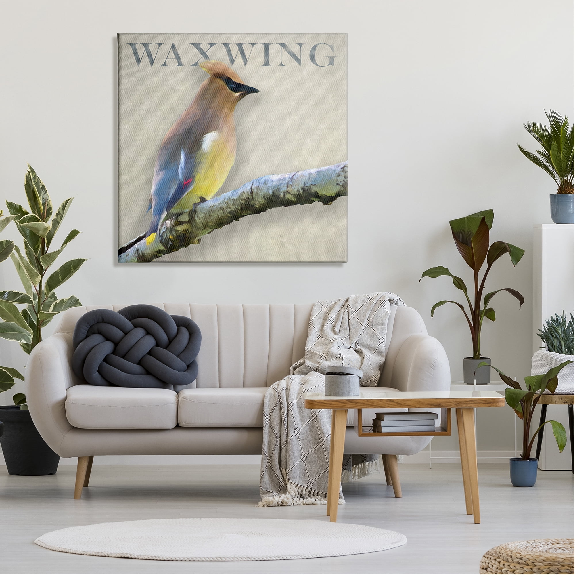 Stupell Industries Waxwing Bird Perched Wildlife Breed Typography Graphic Art Gallery Wrapped Canvas Print Wall Art, Design by Alpenglow Workshop