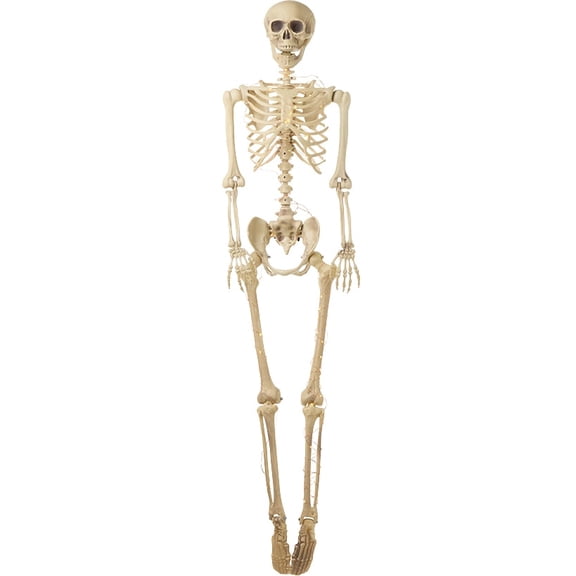 Lighted Poseable Skeletons - 65"